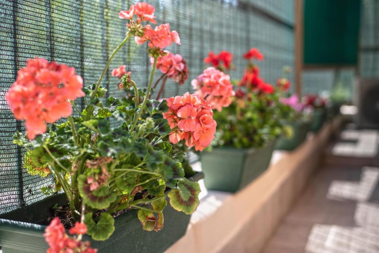 Apartment Garden House Vale Rome