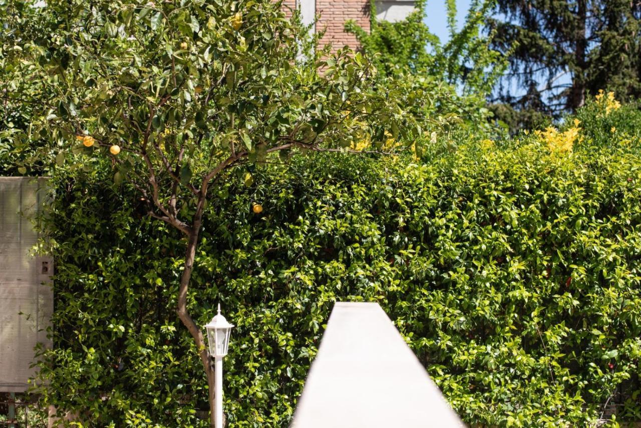 Apartment Garden House Vale *
